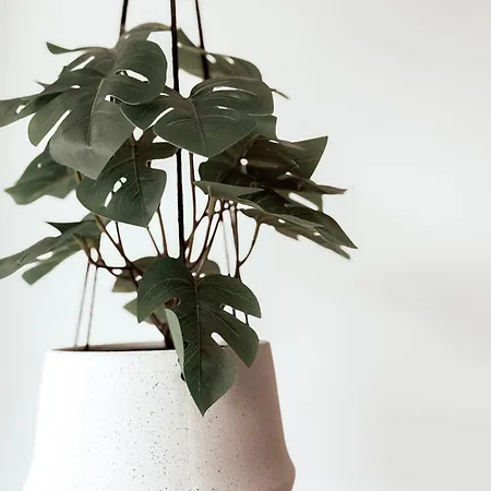 Gluecksmoment Mit Balkon In